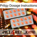 Priligy Dosage Instructions 27